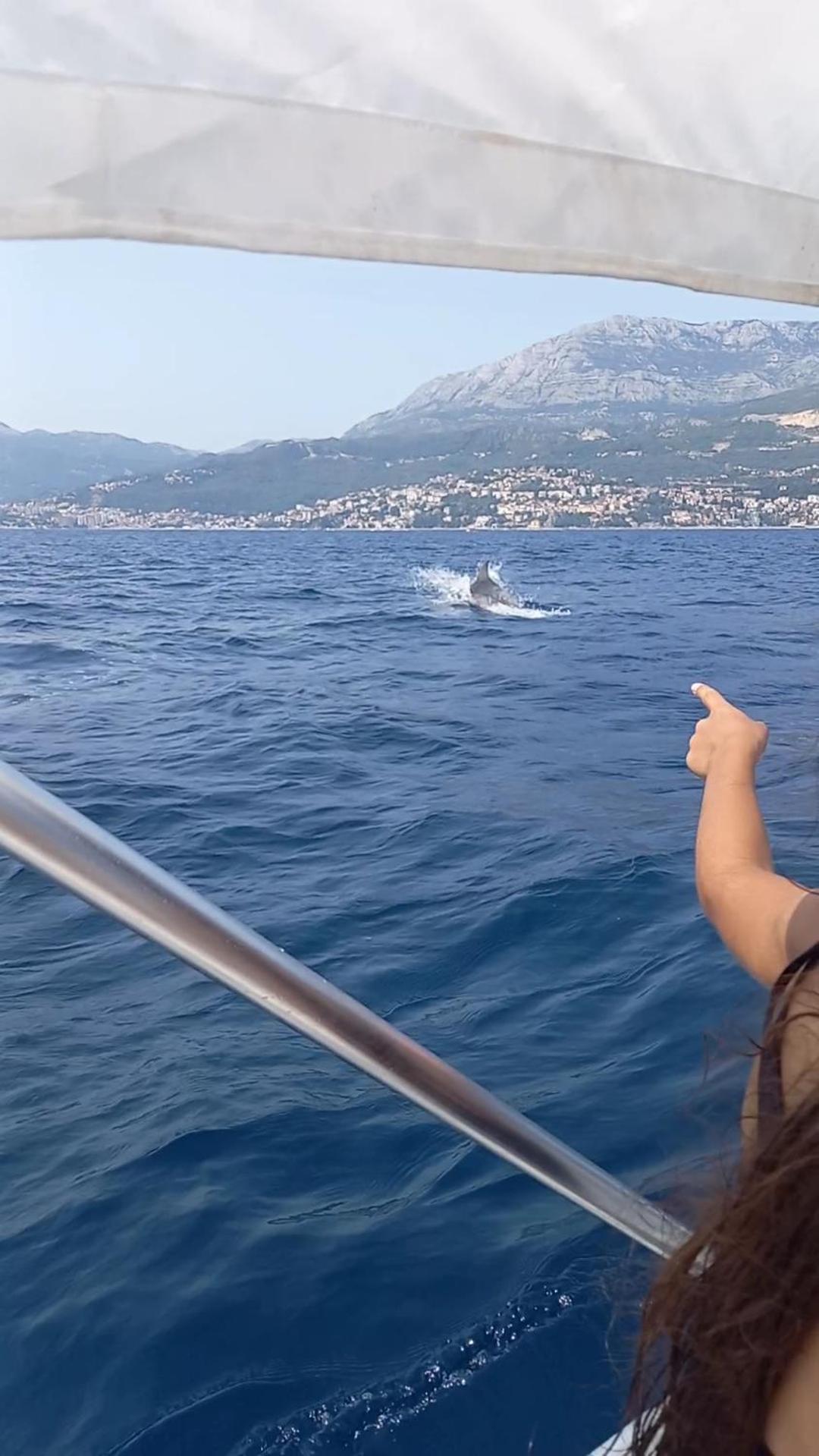 Apartmani Milena Herceg Novi Eksteriør billede
