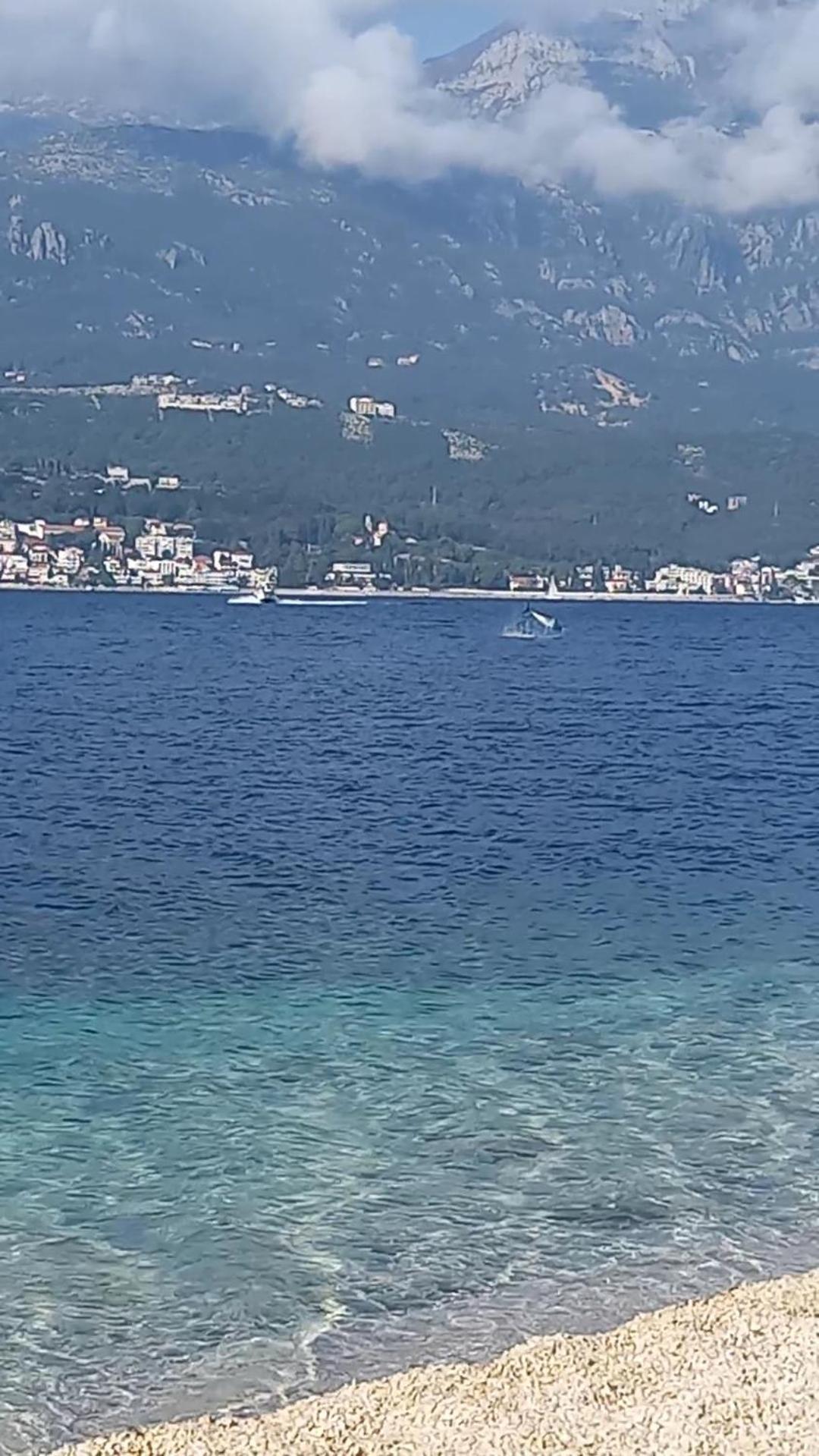 Apartmani Milena Herceg Novi Eksteriør billede